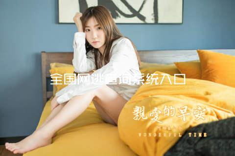 全国网逃查询系统入口